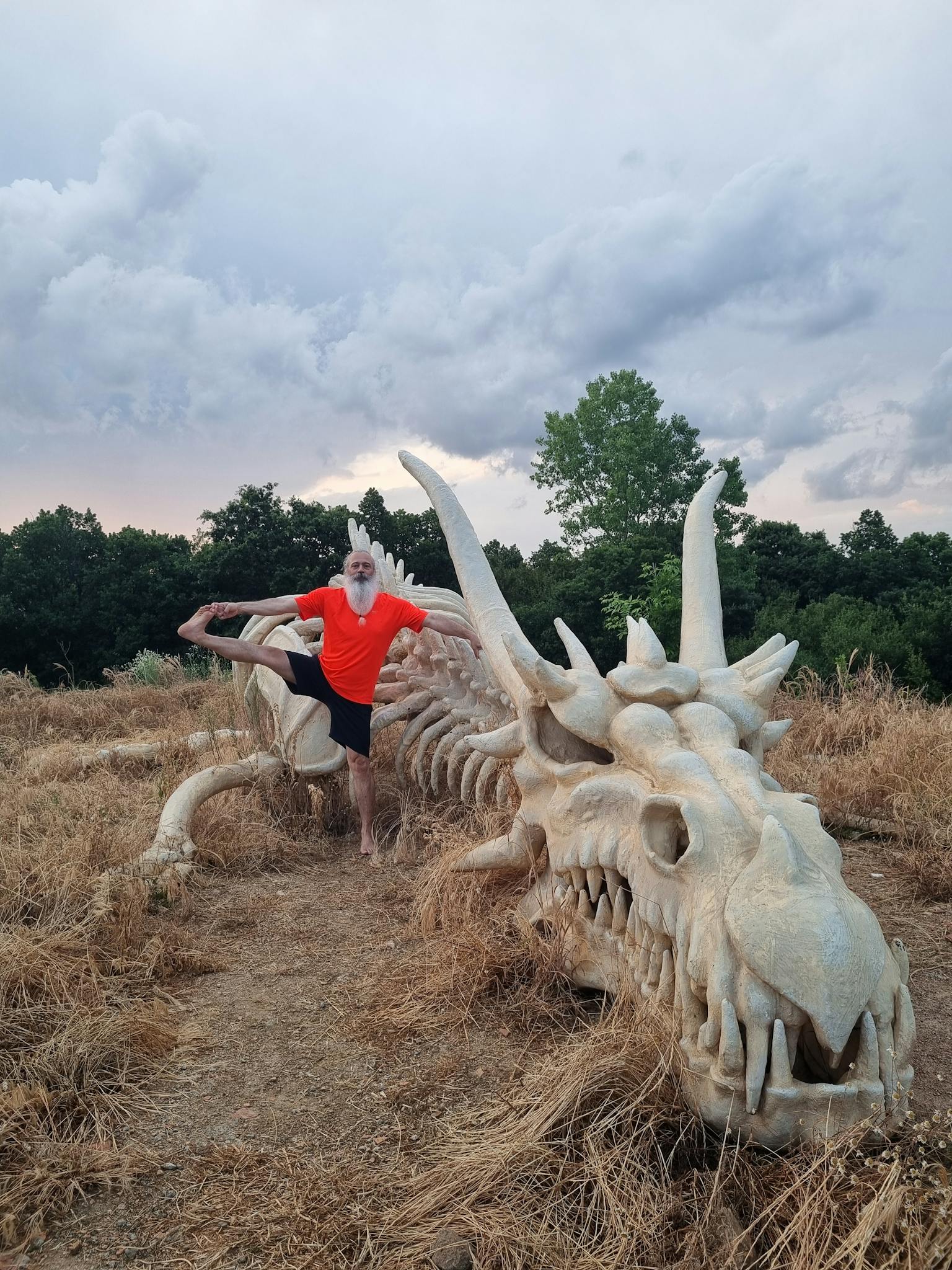 Person practicing yoga beside a dragon sculpture in a grassy outdoor setting in Kırklareli.